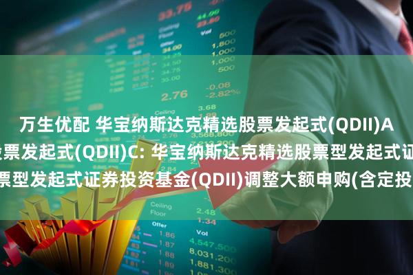 万生优配 华宝纳斯达克精选股票发起式(QDII)A,华宝纳斯达克精选股票发起式(QDII)C: 华宝纳斯达克精选股票型发起式证券投资基金(QDII)调整大额申购(含定投)金额上限的公告