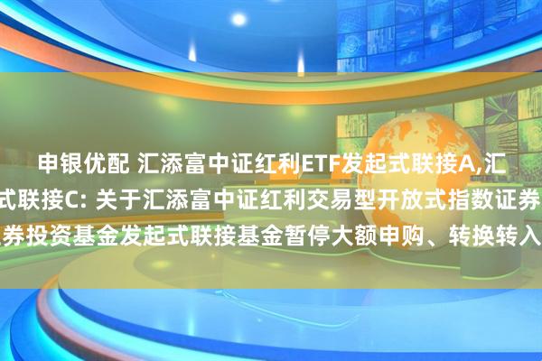 申银优配 汇添富中证红利ETF发起式联接A,汇添富中证红利ETF发起式联接C: 关于汇添富中证红利交易型开放式指数证券投资基金发起式联接基金暂停大额申购、转换转入、定期定额投资业务的公告