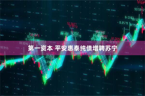 第一资本 平安惠泰纯债增聘苏宁