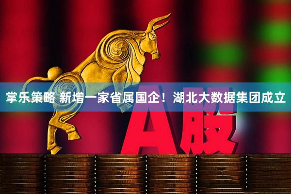 掌乐策略 新增一家省属国企！湖北大数据集团成立