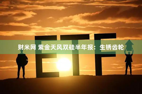 财米网 紫金天风双硅半年报：生锈齿轮