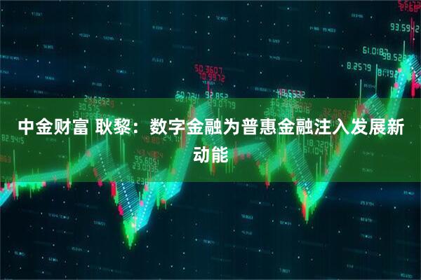 中金财富 耿黎：数字金融为普惠金融注入发展新动能