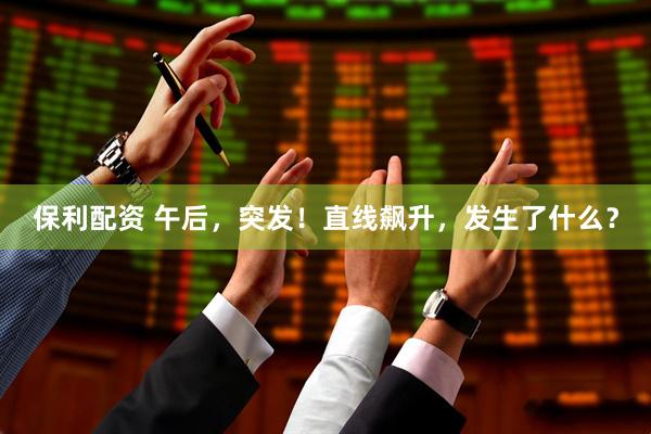 保利配资 午后，突发！直线飙升，发生了什么？