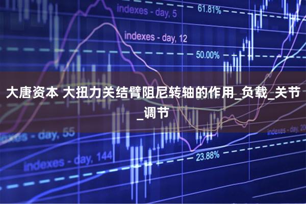 大唐资本 大扭力关结臂阻尼转轴的作用_负载_关节_调节