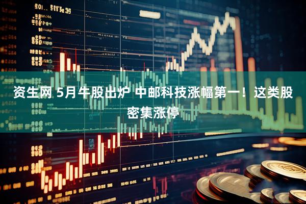 资生网 5月牛股出炉 中邮科技涨幅第一！这类股密集涨停