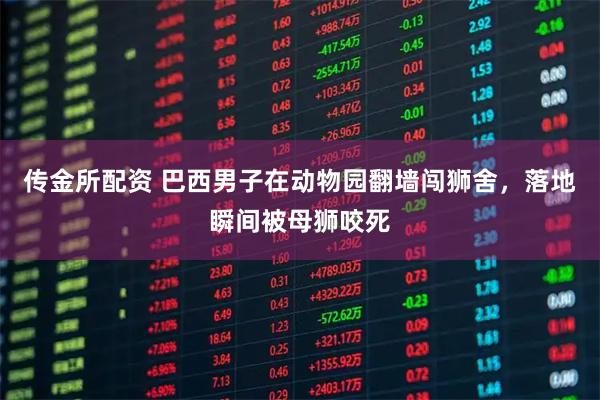 传金所配资 巴西男子在动物园翻墙闯狮舍，落地瞬间被母狮咬死