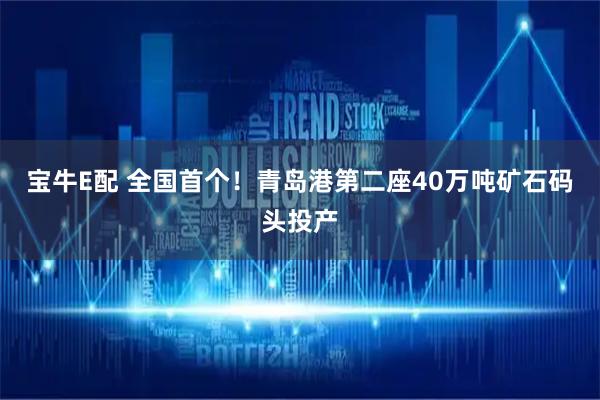 宝牛E配 全国首个！青岛港第二座40万吨矿石码头投产