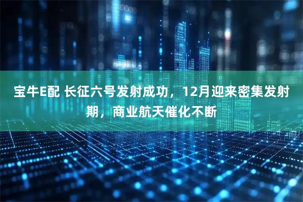 宝牛E配 长征六号发射成功,12月迎来密集发射期,商业航天催化不断