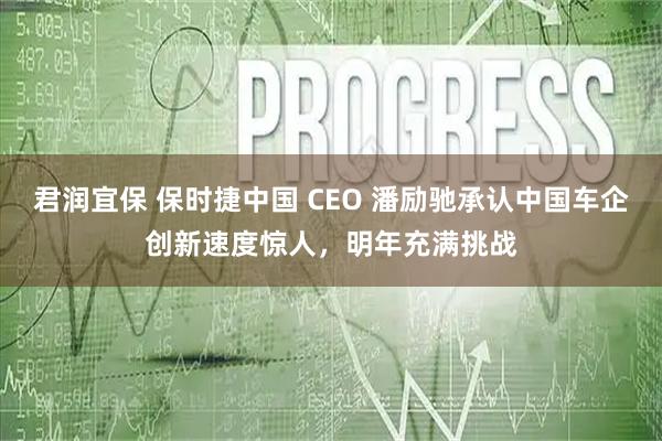 君润宜保 保时捷中国 CEO 潘励驰承认中国车企创新速度惊人,明年充满挑战